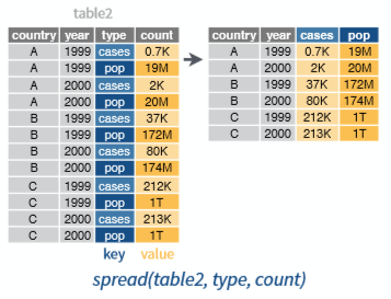 Visualisasi fungsi spread (Sumber: Rstudio,2017)