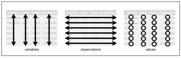 Visualisasi 3 rule tidy data